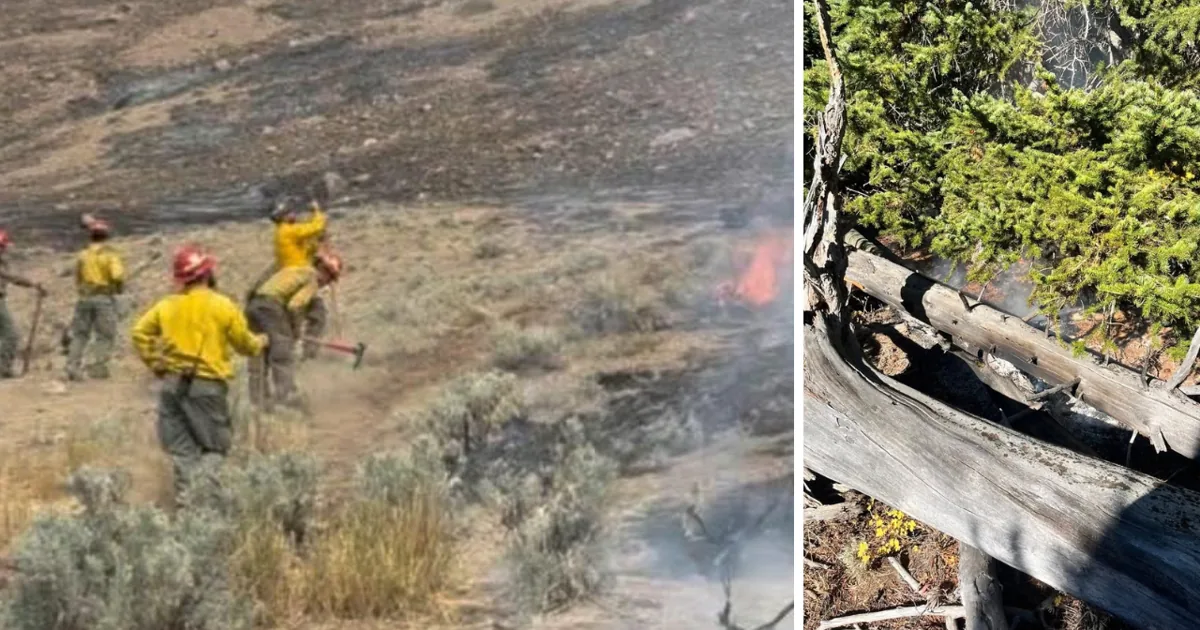 Investigators and firefighters respond to separate incidents across Wyoming including remains recovery and small wildfires